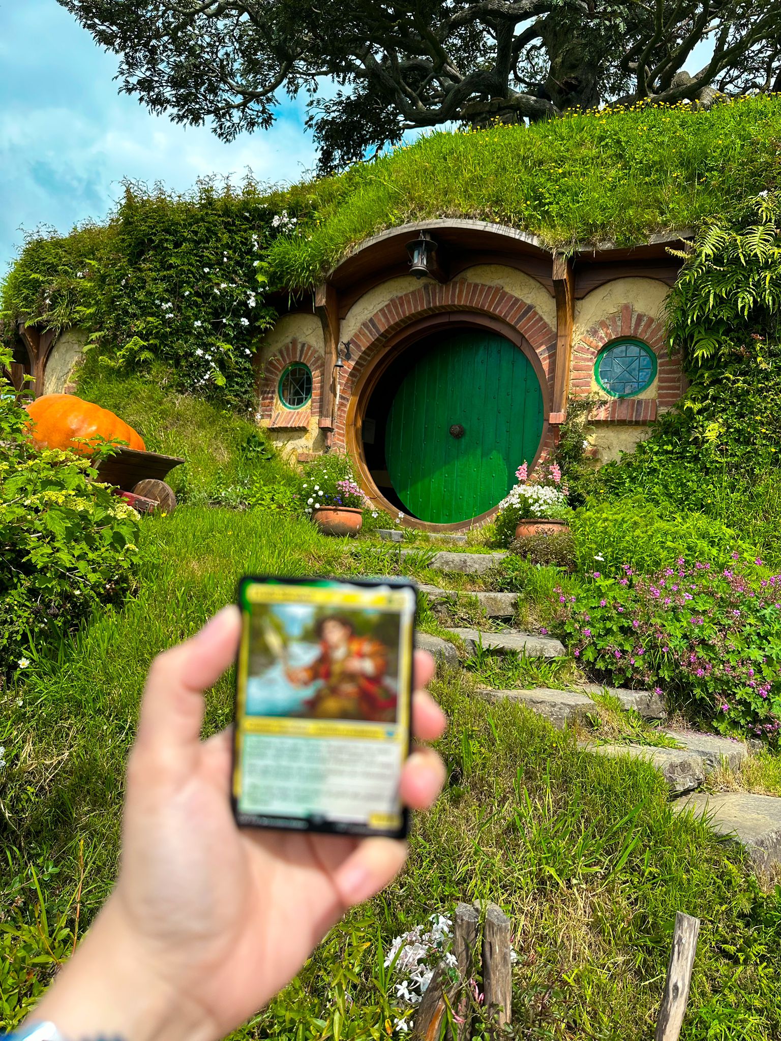 Carte Magic: The Gathering - Maison de hobbits en Nouvelle-Zélande Carte Magic: The Gathering devant une maison de hobbits en Nouvelle-Zélande