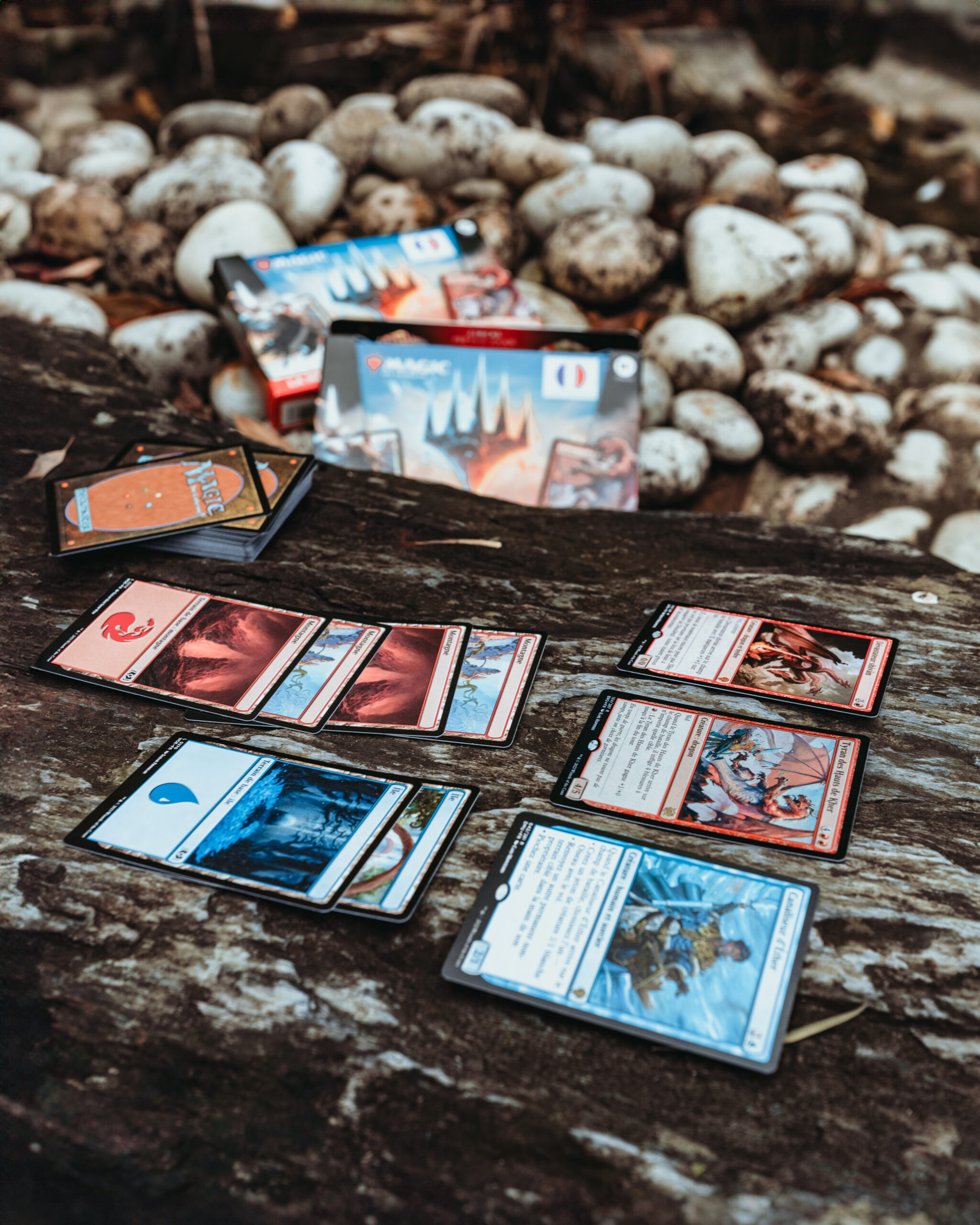 Cartes du starter kit Magic: The Gathering Cartes du starter kit Magic: The Gathering